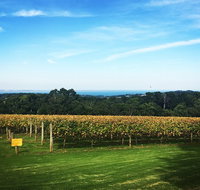 Mornington Peninsula Private Car Winery Tour.1-7 People One Car Price. - Attractions Melbourne