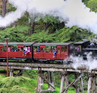 Puffing Billy And Healesville Sanctuary Scenic Tour - Attractions Melbourne