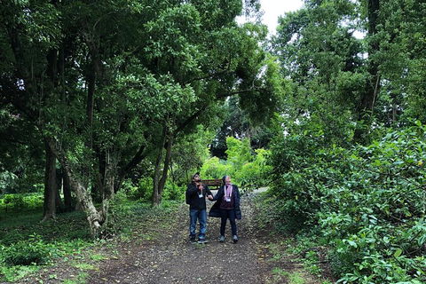 Alices Journeys Guided Walking Tours Of Daylesford - Attractions Melbourne 5