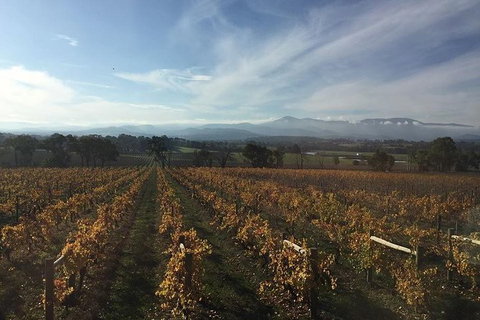 Tour 1 - Full Day, Wine Tasting Plus Lunch. - Attractions Melbourne 2