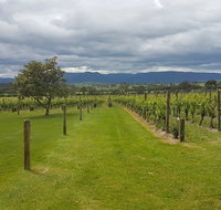 Yarra Valley Private Tour - Attractions Melbourne
