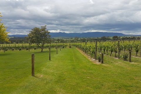 Yarra Valley Private Tour - Attractions Melbourne 0