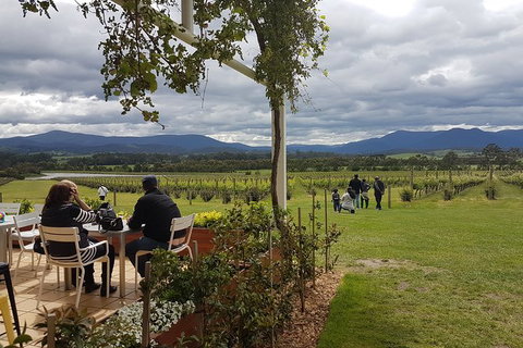 Yarra Valley Private Tour - Attractions Melbourne 5