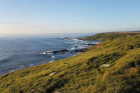 Phillip Island Express Tour - Attractions Melbourne 1