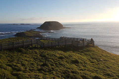 Phillip Island Express Tour - Attractions Melbourne 3