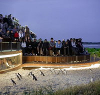 Phillip Island Private Tour - Attractions Melbourne