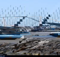 Geelong Helicopter Joy Flights - Attractions Melbourne