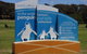 Experience Phillip Island From Inches - thumb 0