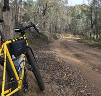 Gold n Gravel  Full Day Beechworth Gravel Cycling Tour - Attractions Melbourne