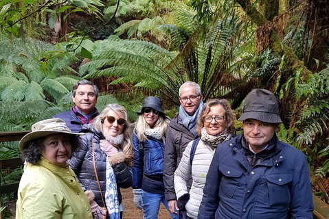 Private Weekend Escape - 2 Day Great Ocean Road Tour - Attractions Melbourne 6