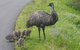 Private Weekend Escape - 2 Day Great Ocean Road Tour - thumb 3