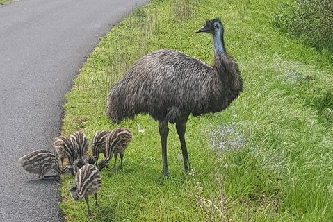Private Weekend Escape - 2 Day Great Ocean Road Tour - Attractions Melbourne 3