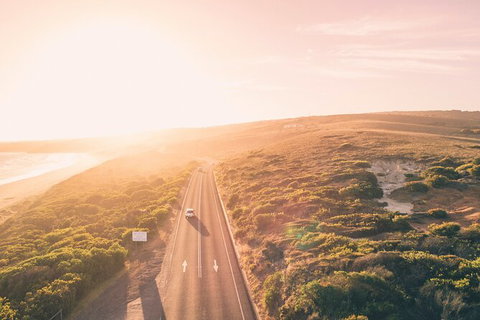 LGBT+ Friendly 2 Day Private Great Ocean Road Tour - Attractions Melbourne 1
