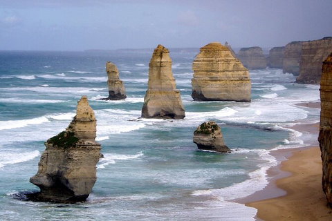 LGBT+ Friendly 2 Day Private Great Ocean Road Tour - Attractions Melbourne 0