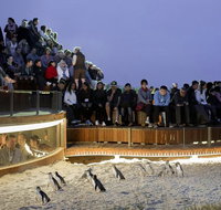 LGBT Friendly Full Day Phillip Island Private Tour - Attractions Melbourne