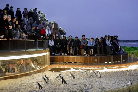 LGBT+ Friendly Full Day Phillip Island Private Tour - Attractions Melbourne 0