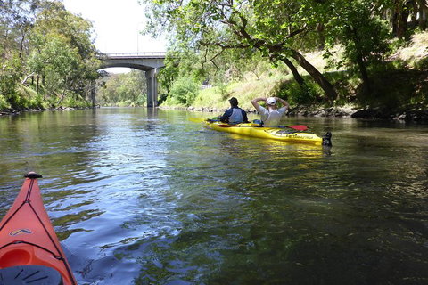 Self Guided Scenic Yarra River Kayak Tour For 2 - Attractions Melbourne 3