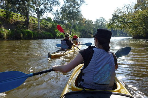 Self Guided Scenic Yarra River Kayak Tour For 2 - Attractions Melbourne 0
