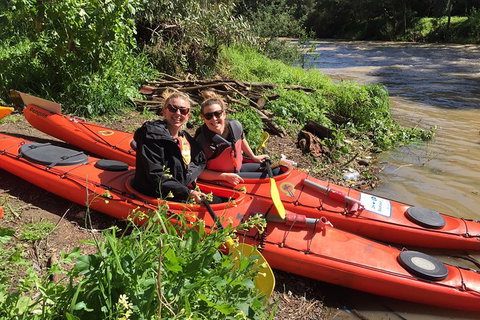 Self Guided Scenic Yarra River Kayak Tour For 2 - Attractions Melbourne 2