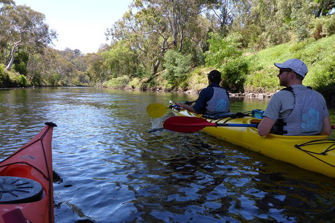 Self Guided Scenic Yarra River Kayak Tour For 2 - Attractions Melbourne 4
