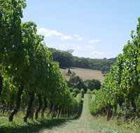 Private winery tour - Attractions Melbourne