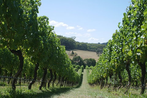 Private Winery Tour - Attractions Melbourne 0