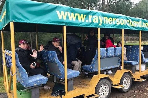 Melbourne Private Fruit Picking Tours (Up To 3 Persons) - Attractions Melbourne 3