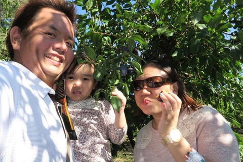 Melbourne Private Fruit Picking Tours (Up To 3 Persons) - Attractions Melbourne 1