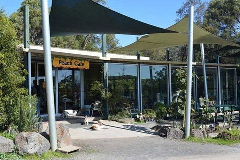 Melbourne Private Fruit Picking Tours (Up To 7 Persons) - Attractions Melbourne 2