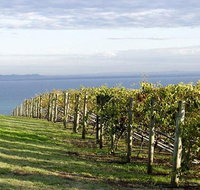 Winery Tours  Mornington/Yarra Valley/Bellarine/Macedon Ranges - Up to 3 Pax - Attractions Melbourne