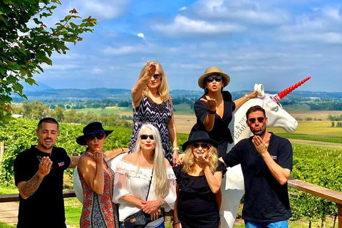 Yarra Valley Private & Bespoke Wine Tasting Tour - Attractions Melbourne 7