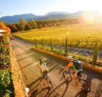 Feathertop Winery Pedal and Picnic in the Vines - Attractions Melbourne