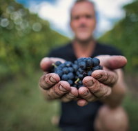 Feathertop Winery Behind the Wines and Vines - Attractions Melbourne