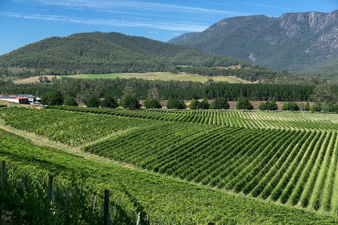 Feathertop Winery: Behind The Wines And Vines - Attractions Melbourne 2