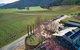 Feathertop Winery: Behind The Wines And Vines - thumb 4