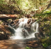 Discover Tour Dandenong Ranges  William Ricketts Sanctuary - Attractions Melbourne