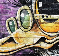 Photography  Culture Tour of Melbourne Australia - Attractions Melbourne