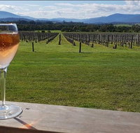 Yarra Valley 7 Hours Guided Wine Tour with 2-Course Lunch - Attractions Melbourne