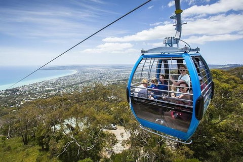 Full Day - Peninsula Hot Springs & Bathing Boxes - Attractions Melbourne 2