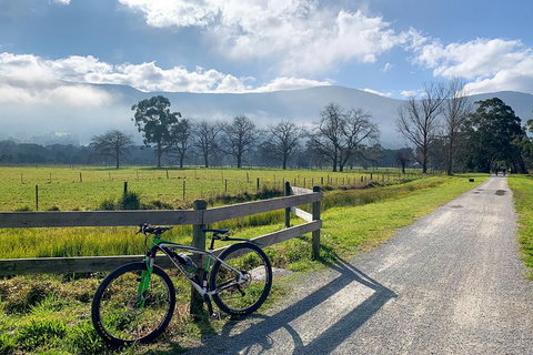 Aqueduct And Rail Trail Self-Guided Bike Tour In Warburton - Attractions Melbourne 5