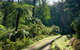 Aqueduct And Rail Trail Self-Guided Bike Tour In Warburton - thumb 3