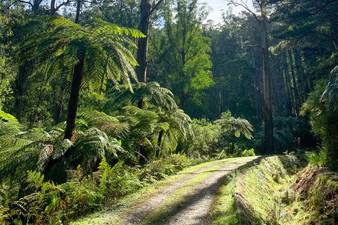 Aqueduct And Rail Trail Self-Guided Bike Tour In Warburton - Attractions Melbourne 3