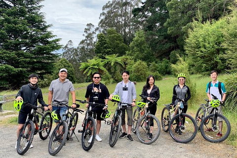 Aqueduct And Rail Trail Self-Guided Bike Tour In Warburton - Attractions Melbourne 0