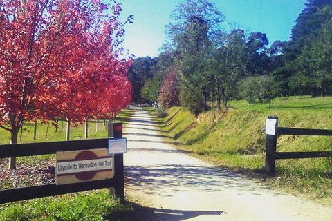 Aqueduct And Rail Trail Self-Guided Bike Tour In Warburton - Attractions Melbourne 4