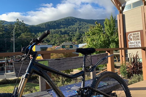 Aqueduct And Rail Trail Self-Guided Bike Tour In Warburton - Attractions Melbourne 2