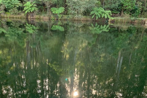 Hiking Tour To Aqueduct And Warburton Valley Lookout - Attractions Melbourne 2