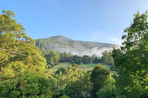 Hiking Tour To Aqueduct And Warburton Valley Lookout - Attractions Melbourne 0