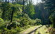 Half-Day Biking Activity From Aqueduct To California Redwoods - thumb 1