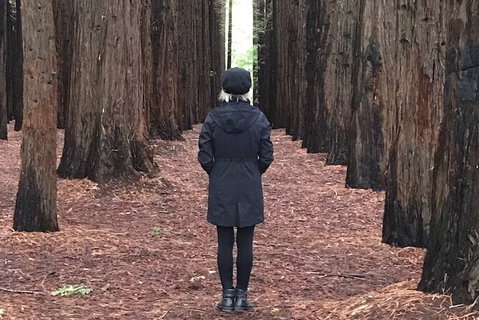 Half-Day Biking Activity From Aqueduct To California Redwoods - Attractions Melbourne 0