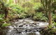 Half-Day Biking Activity From Aqueduct To California Redwoods - thumb 3